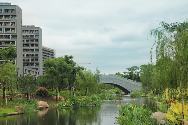 师大的桥 (3)