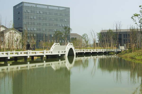 师大的桥 (6)