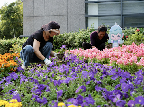 6.绿化工设计摆放亚运主题花境1副本