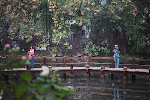 image007
