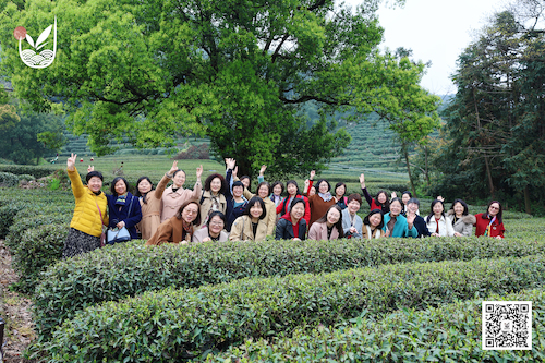 2.茶山合影