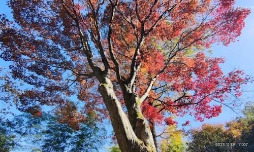 附院徒步莫干山3