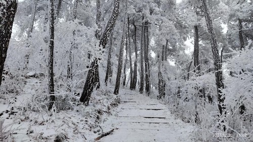 20231220百丈雪景1