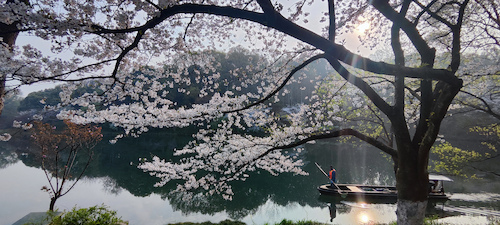 手机+许玲《护花使者》+杭州师范大学+13067758259