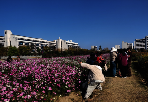 8C7D7F38-DF6A-4782-9E3E-8FA3AF4554BC