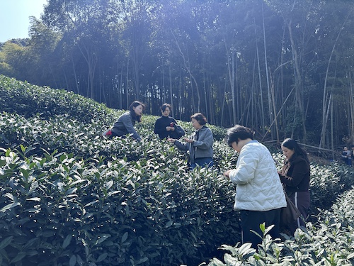 2026年三八节图_4