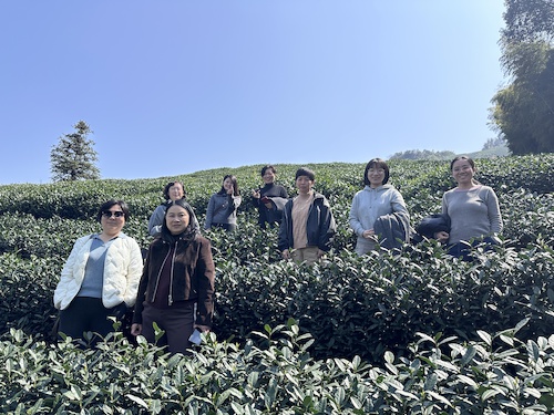 2026年三八节宣传1