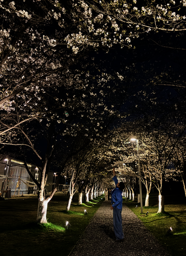 0钱旭鸯老师摄影作品