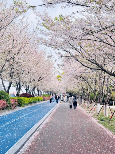 2孙丹老师摄影作品