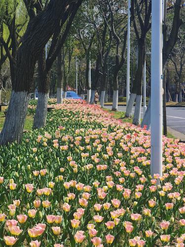 4范文翔老师摄影作品