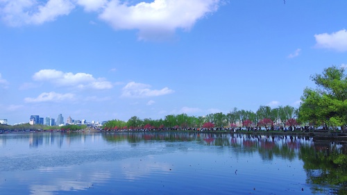 5关伟老师摄影作品