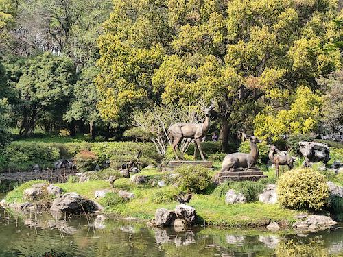 6杨天啸老师摄影作品