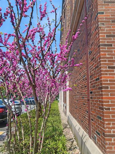 7黄璐老师摄影作品