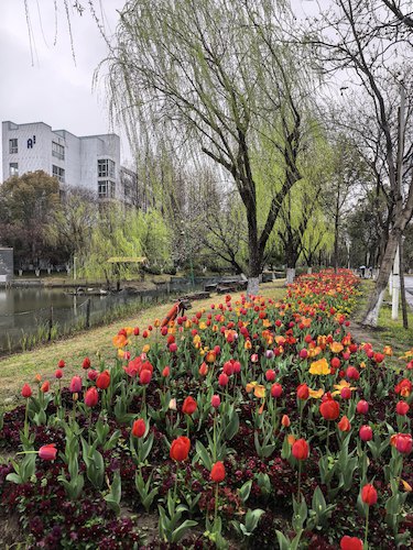 9施英姿老师摄影作品