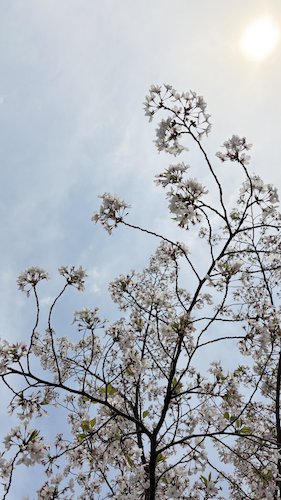 10胡玥老师摄影作品