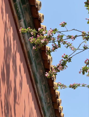 11朱文娟老师摄影作品