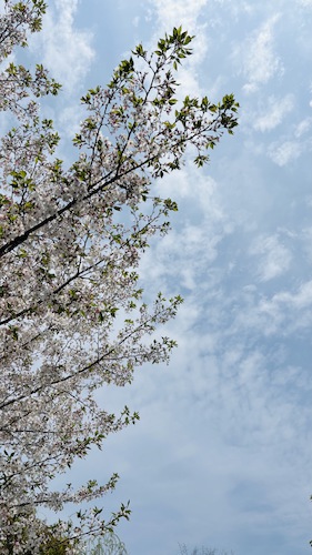 12王兴宇老师摄影作品