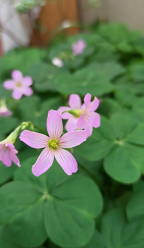 13徐光涛老师摄影作品